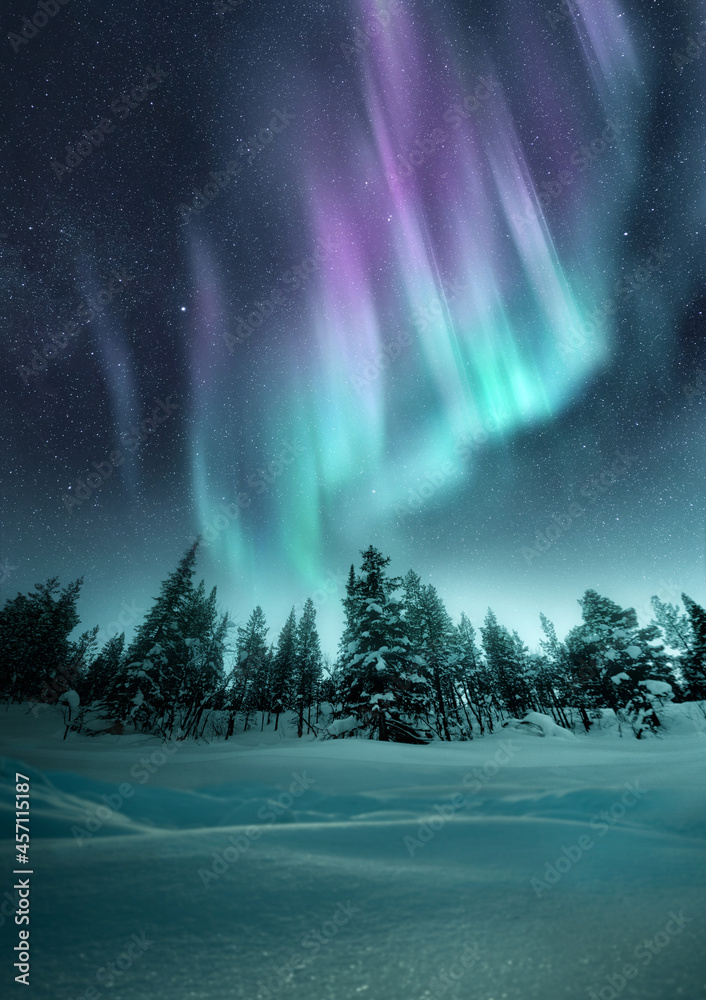 极光在瑞典森林上空的冬季夜空中闪烁。照片合成