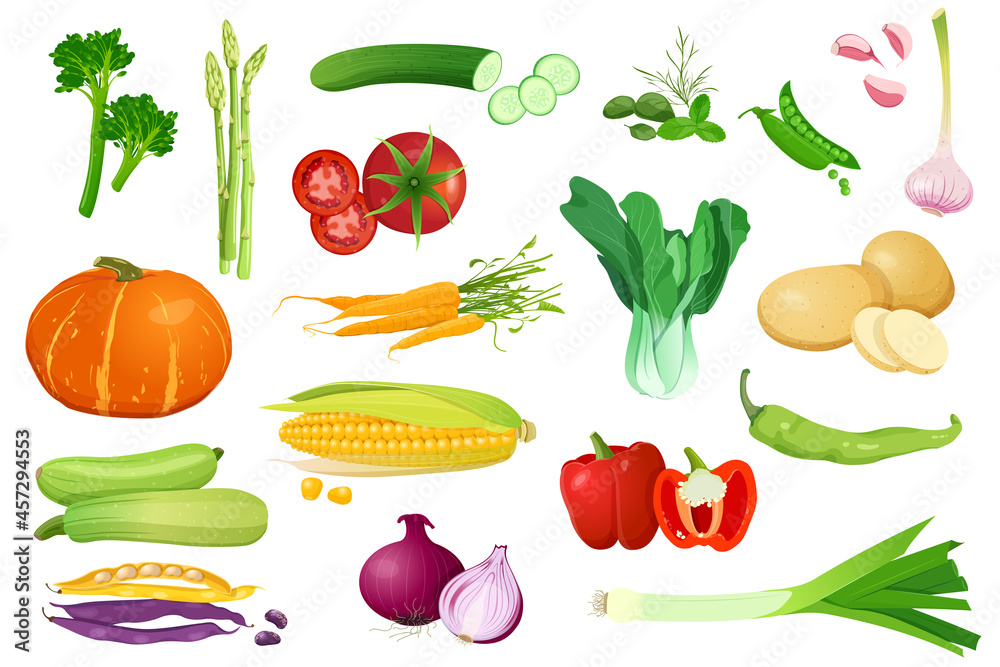 现实风格的大套不同蔬菜。健康食品的新鲜蔬菜。Vector illu