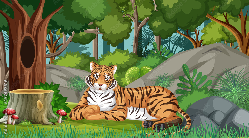 森林或雨林中有许多树木的老虎