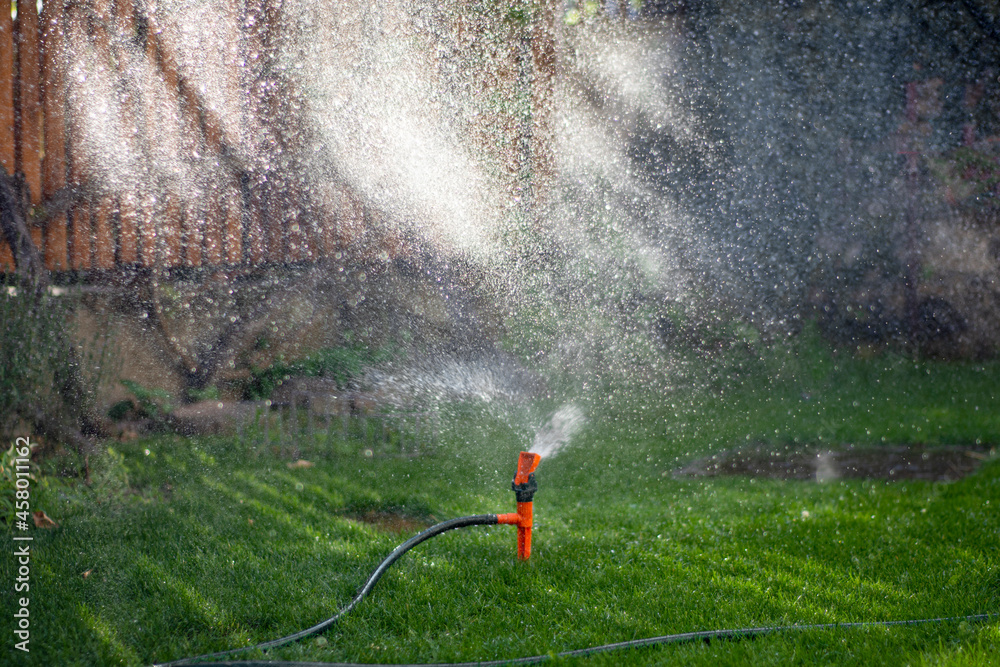 花园自动喷水器。后院浇水技术