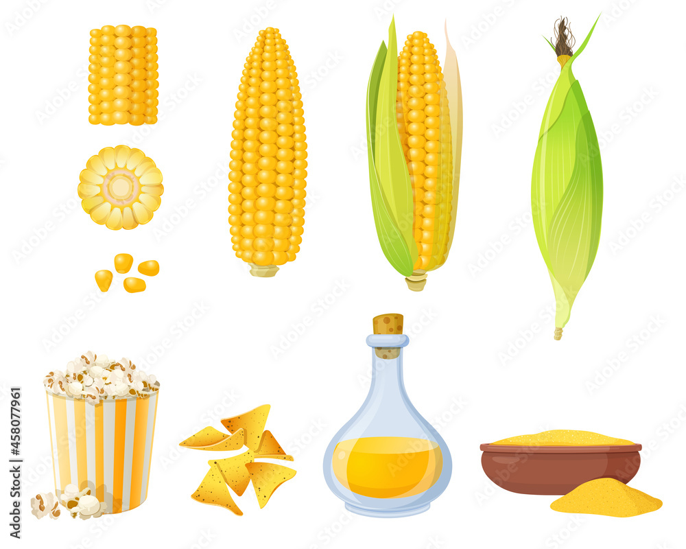 叶中玉米穗，玉米粒玉米粥，玉米油和爆米花。卡通玉米食品元素。矢量