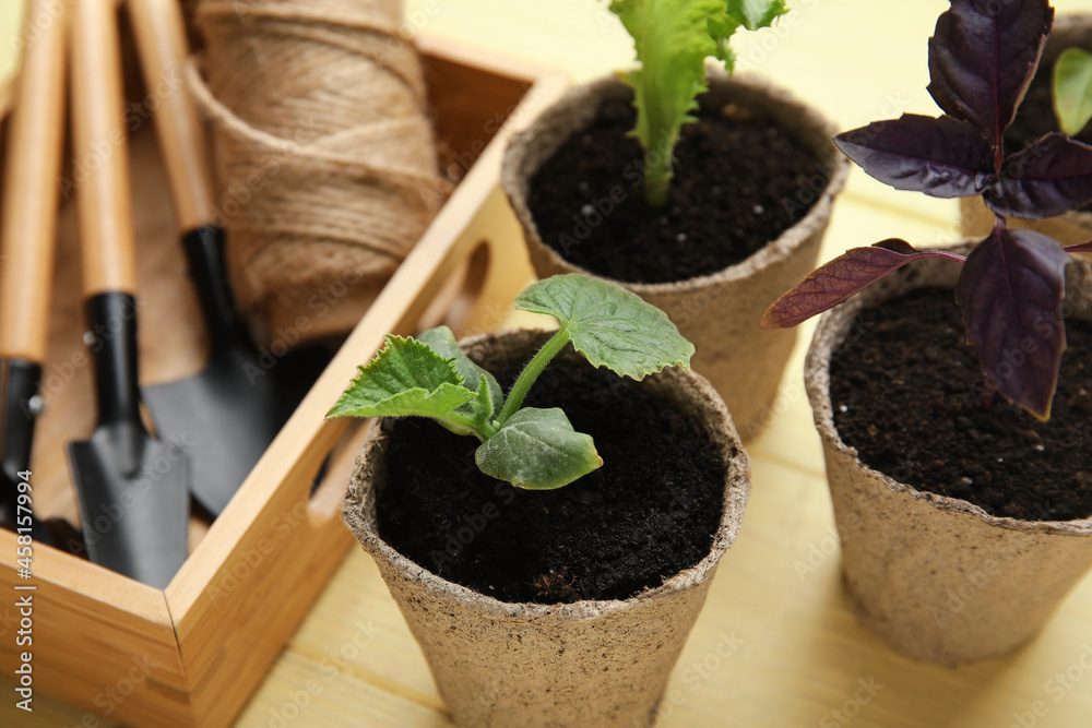Plants seedlings in peat pots and gardening tools on color wooden background, closeup
