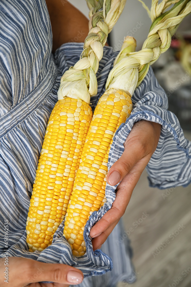 Woman holding fresh corn cobs, closeup