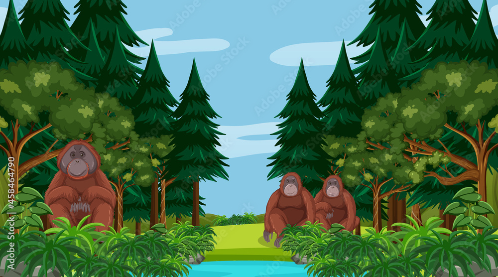 猩猩在森林或雨林中，有很多树