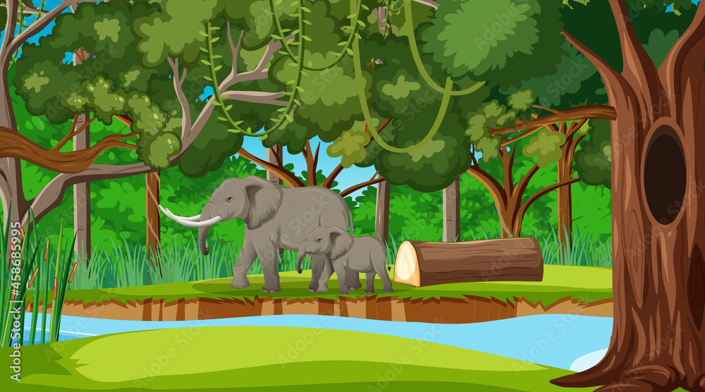 森林或雨林中树木众多的大象母子