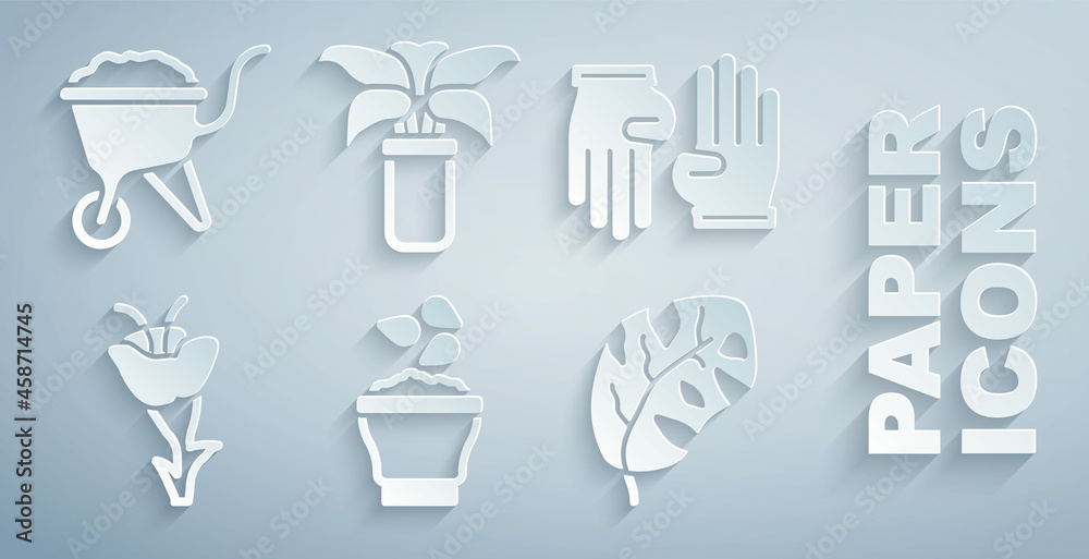 将种子放入碗中，橡胶手套，花朵，热带树叶，异国热带花盆和手推车