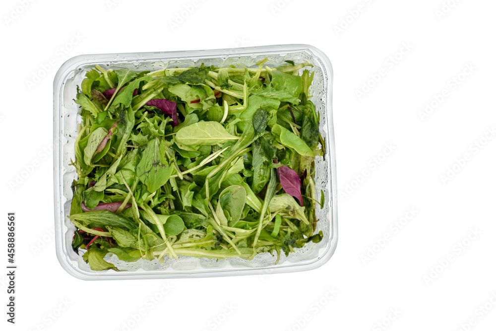 在白色背景的食品储存容器中切碎的叶类蔬菜沙拉。红色和绿色甜菜，