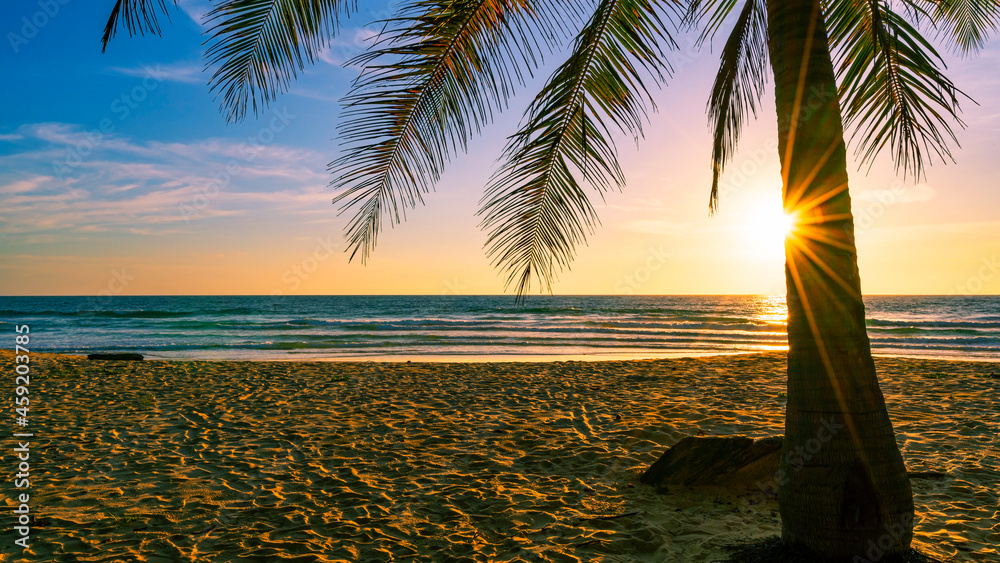 海滩秋假概念背景自然框架，海滩上有椰子树，阳光明媚