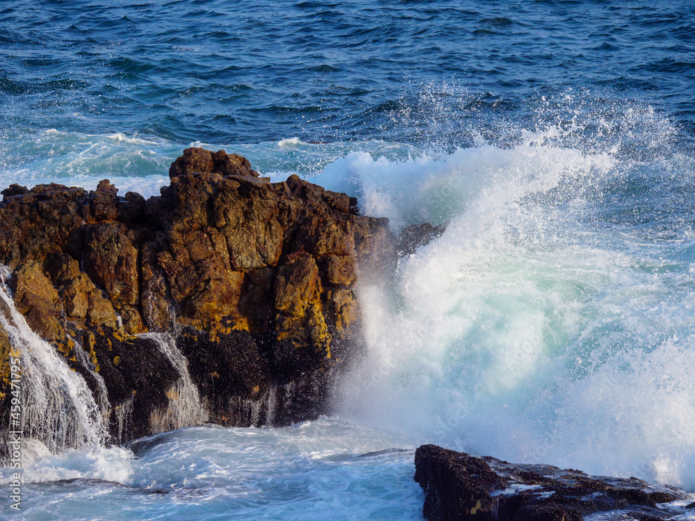 Wave crashing into rock. Hermanus. Whale Coast. Overberg. Western Cape. South Africa