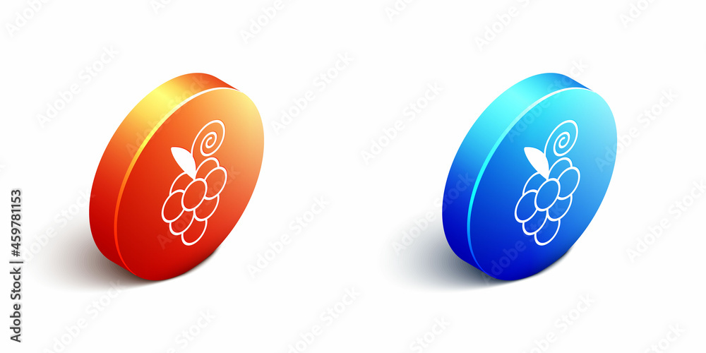 白色背景上隔离的等距葡萄果实图标。橙色和蓝色圆形按钮。矢量