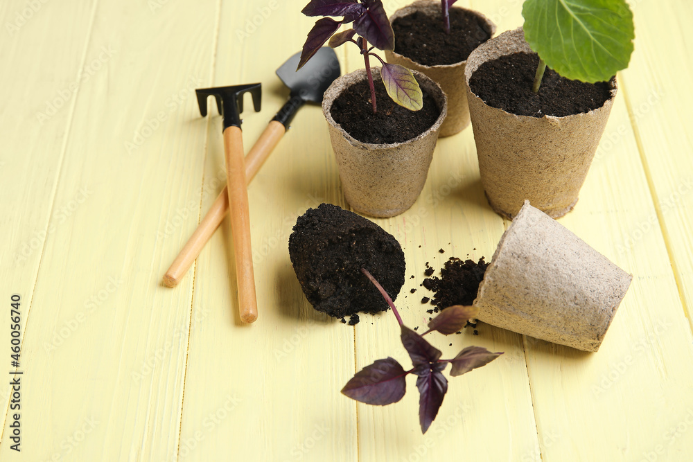 Plants seedlings in peat pots and gardening tools on color wooden background