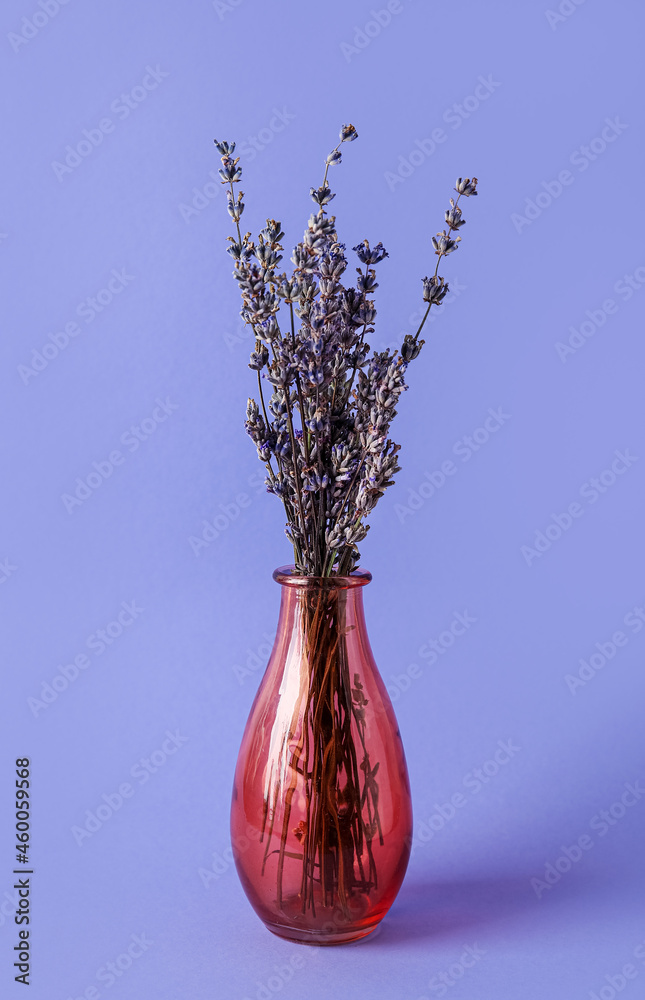 彩色背景上有美丽的薰衣草花的花瓶