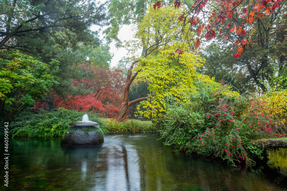 Idyllic  Japanese garden of Leverkusenin autumn with pagoda building at distance.