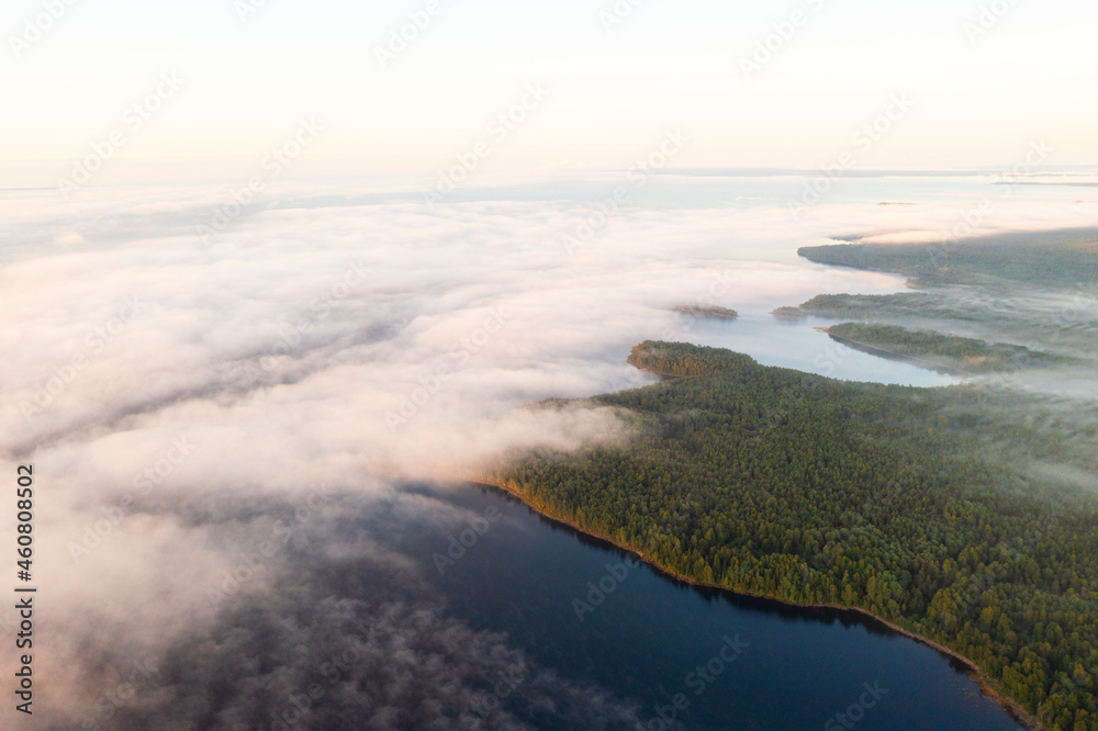 鸟瞰湖面上的雾和森林上的日出。俯视令人惊叹的海滨智慧