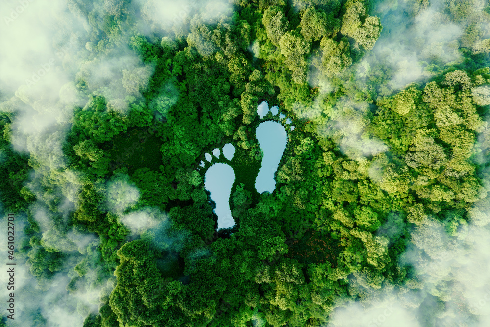 在茂盛的森林中，一个人类脚印形状的湖泊，作为对影响的隐喻