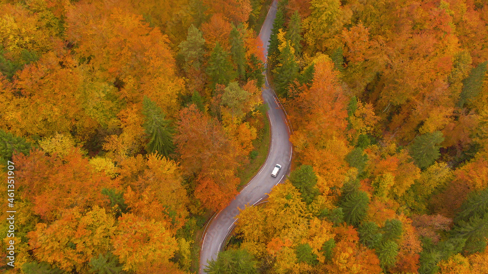 航空摄影：一辆汽车在秋天的乡村行驶的无人机镜头。