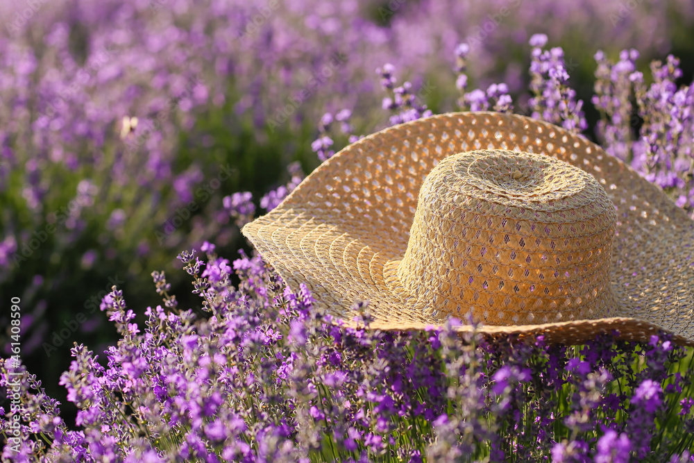 夏日里美丽的薰衣草地里的草帽