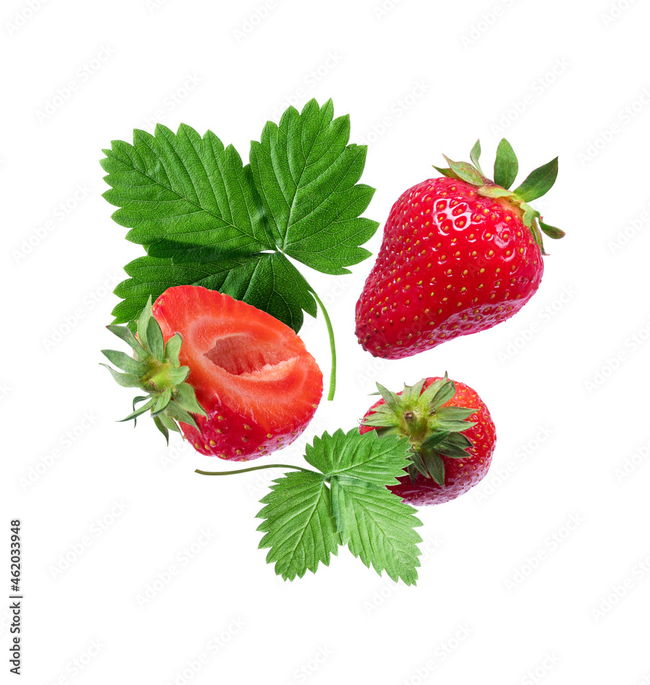 成熟的草莓，白色背景上的叶子紧密隔离
