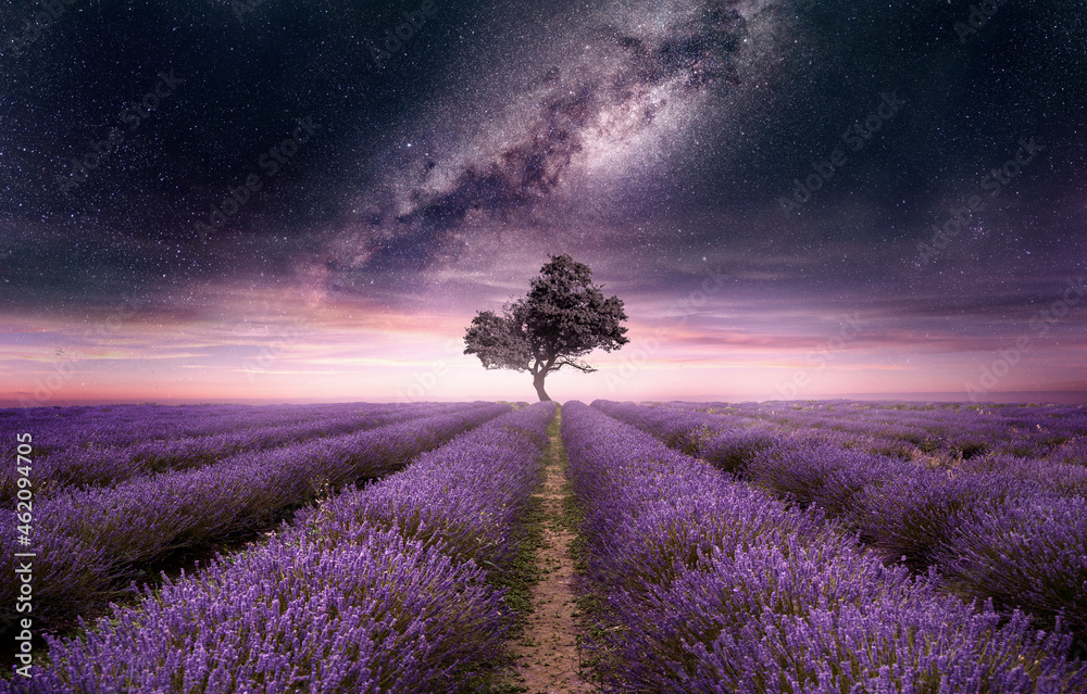一片薰衣草地，夜晚开满了紫色的花，夜空中布满了星星。照片组合