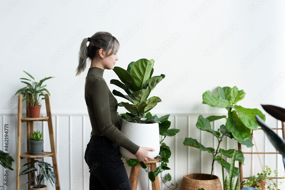 快乐的女人带着一株室内植物