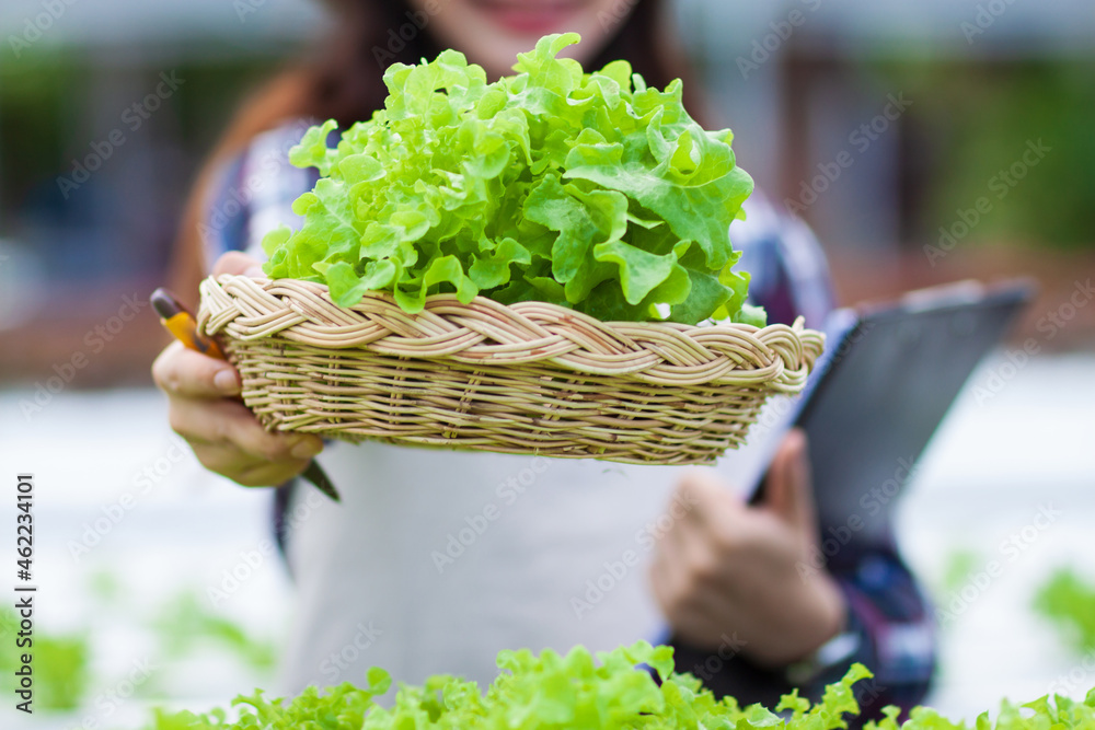 在水培菜场里，一位面带微笑的年轻农民拿着菜篮子。