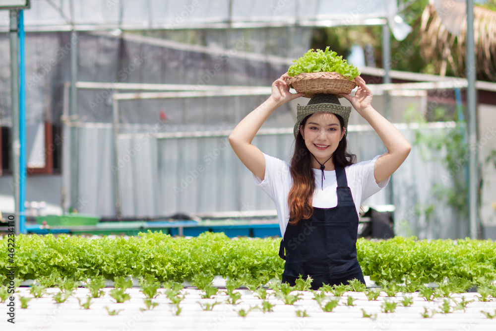 一个在水培蔬菜农场工作的年轻农民。