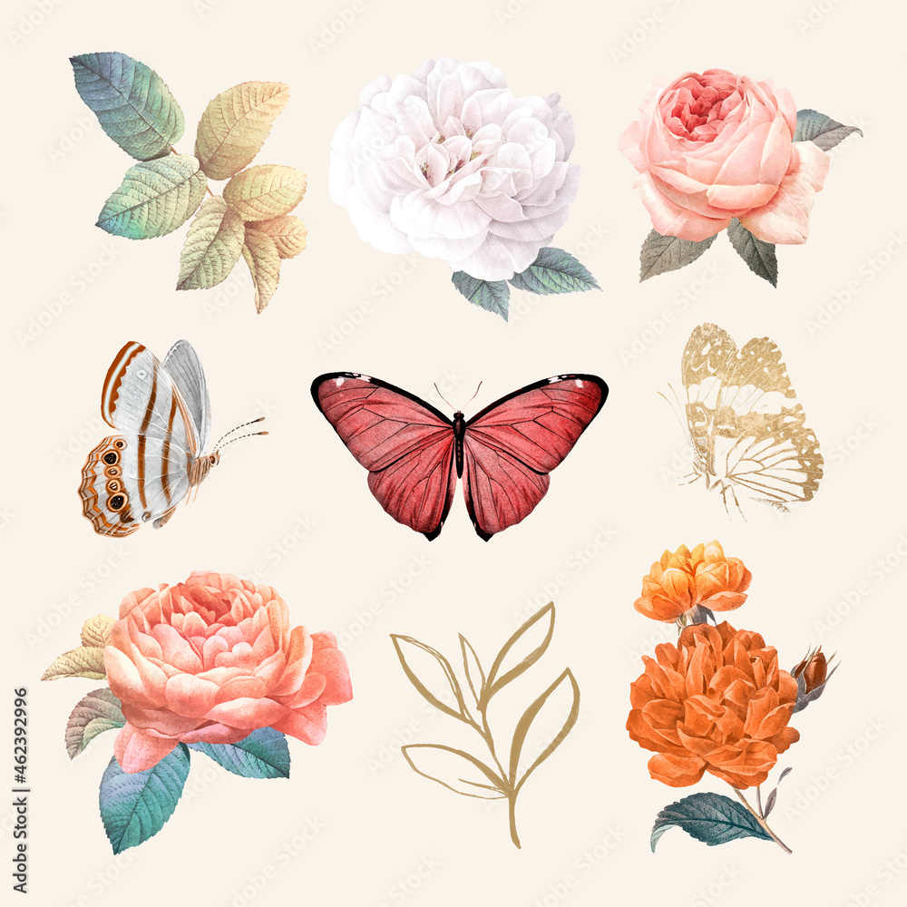 Flower & butterfly illustration vector set, remixed from vintage public domain images
