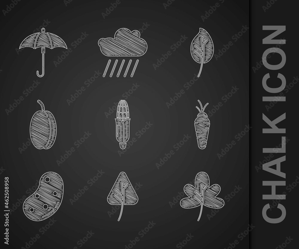 Set Corn, Leaf leaves, Carrot, Potato, Plum fruit, and Umbrella icon. Vector