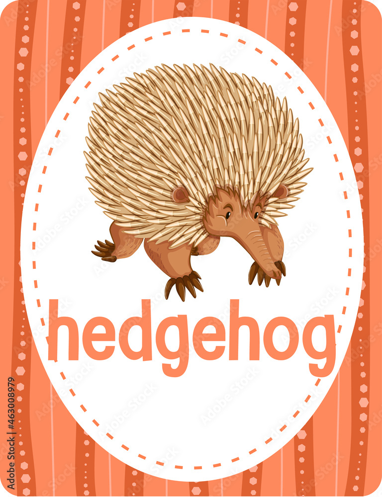 Vocabulary flashcard with word Hedgehog