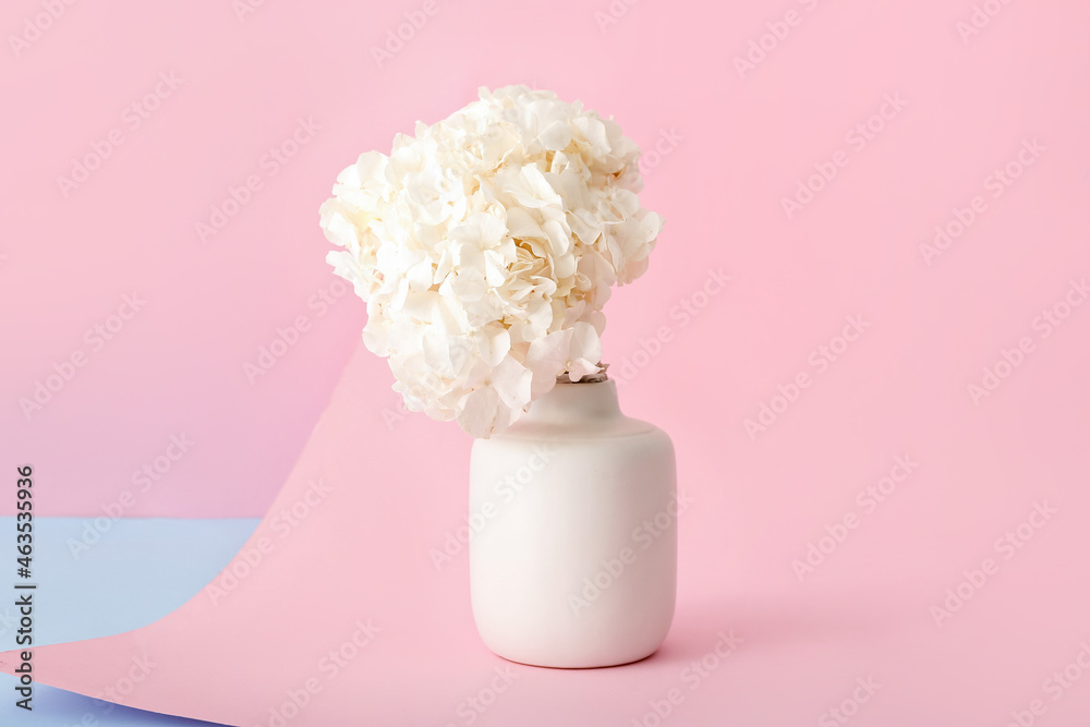 彩色背景上有白色绣球花的花瓶