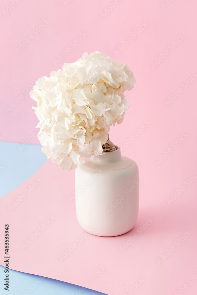 背景为白色绣球花的花瓶