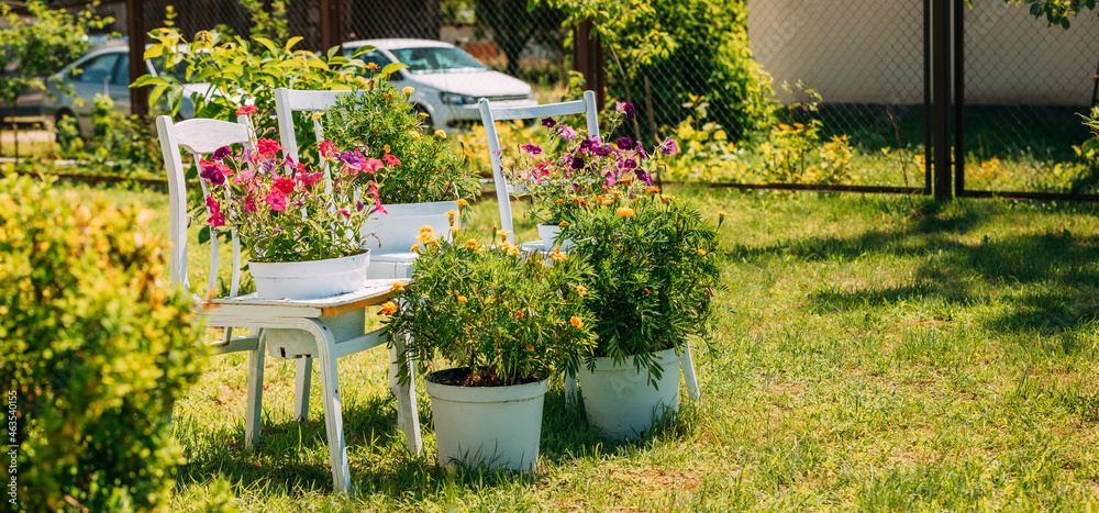 阳光明媚的夏日，装饰性木椅配有篮子花园。夏季花床配有