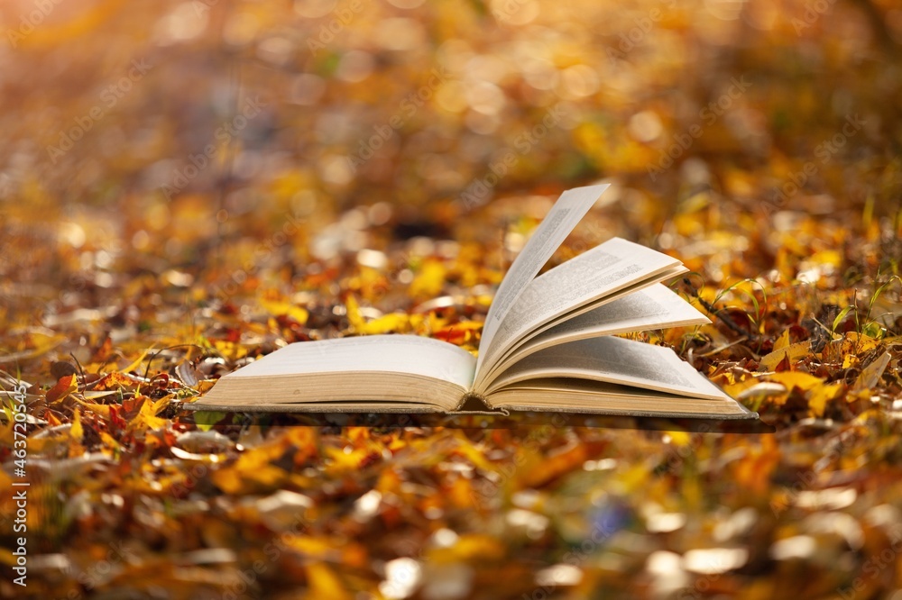 打开一本关于秋天公园背景的书，上面有秋天的落叶。