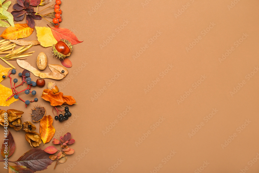 美丽的秋天构图，彩色背景上有落叶，特写