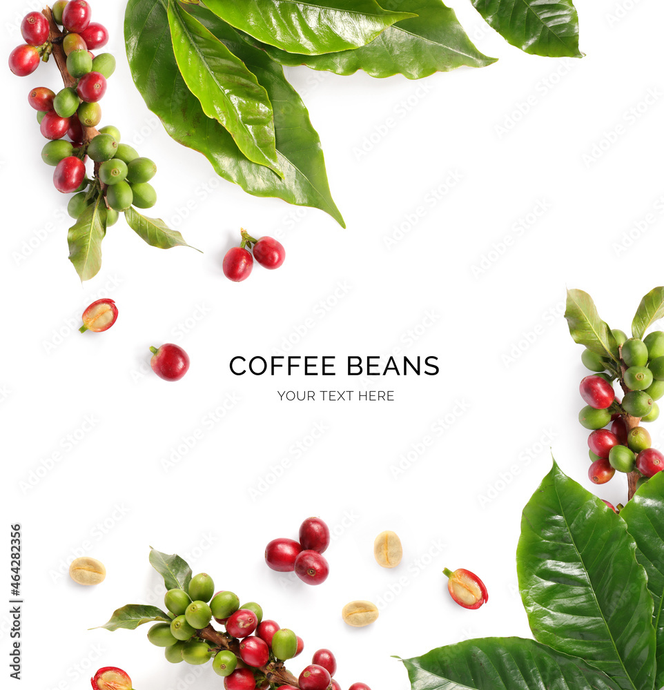 白色背景上由咖啡豆和树叶制成的创意布局。平面布局。食物概念。