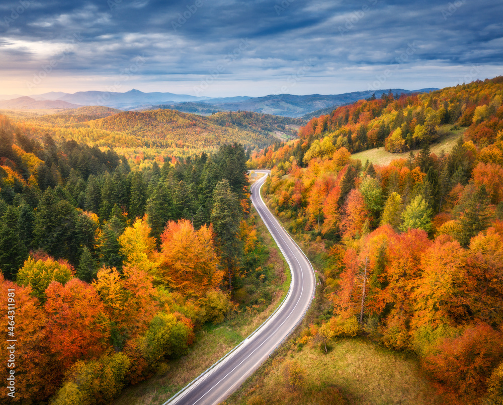 Aerial view of road in colorful forest at sunset in autumn. Top view from drone of mountain road in 