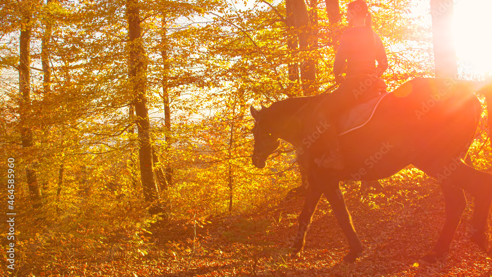 复制空间：年轻的女骑手在金色的日落时分探索森林。