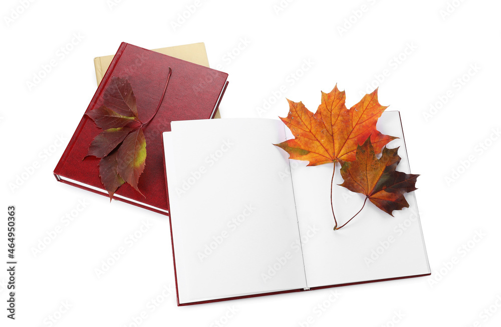 白色背景下的书籍和秋叶