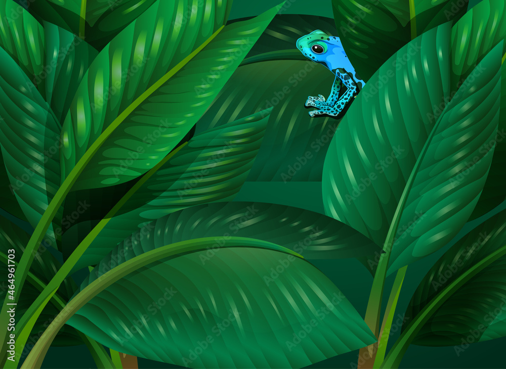 藏在热带树叶背景中的蓝蛙