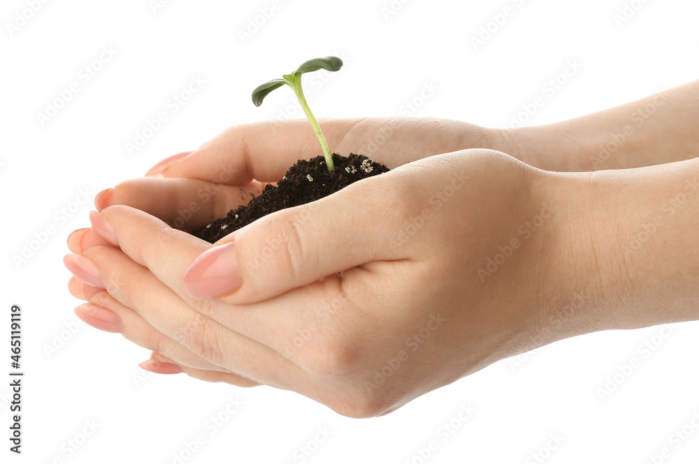 Woman holding green seedling with heap of soil on white background