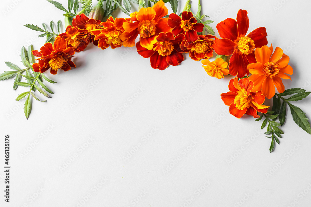 Composition with beautiful marigold flowers on white background, closeup
