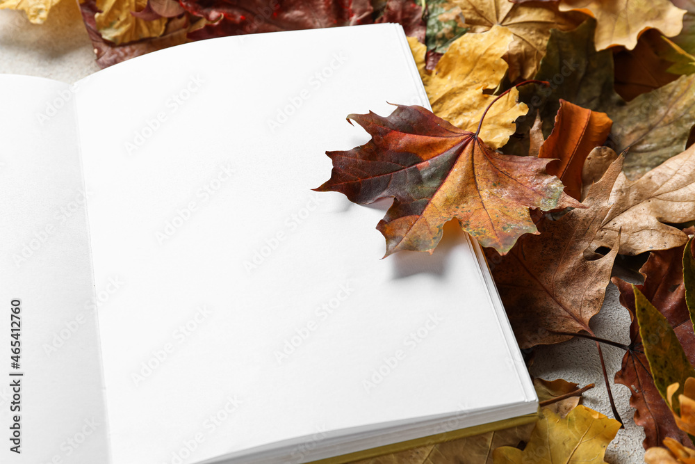 Blank open book and autumn leaves, closeup