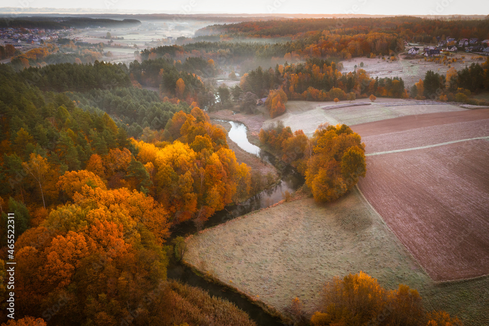 Radunia河在日出前的秋色中蜿蜒而行，卡舒比亚。波兰