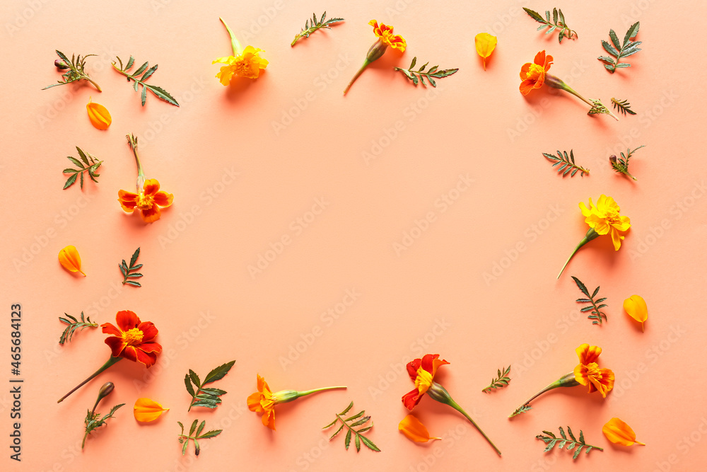 彩色背景上美丽的万寿菊花制成的框架