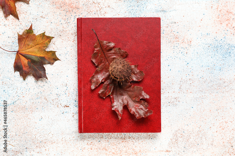 书籍，浅色背景下的秋叶和栗色