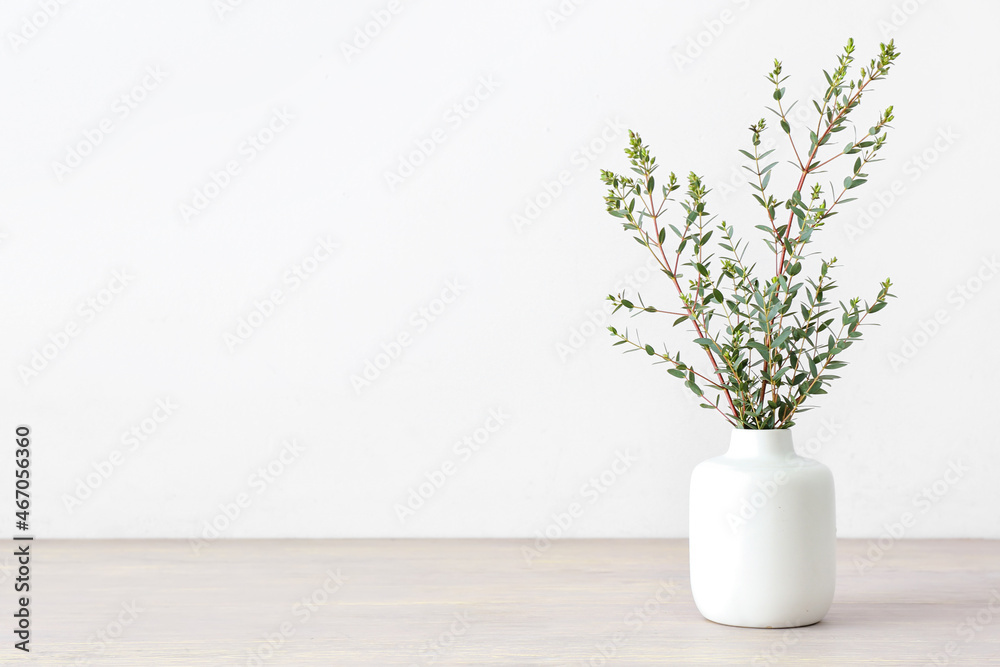 浅色墙壁附近木桌上的绿色桉树树枝花瓶
