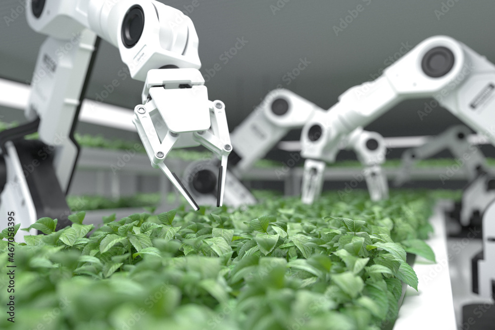 智能机器人农民概念、机器人农民、农业技术、农场自动化。