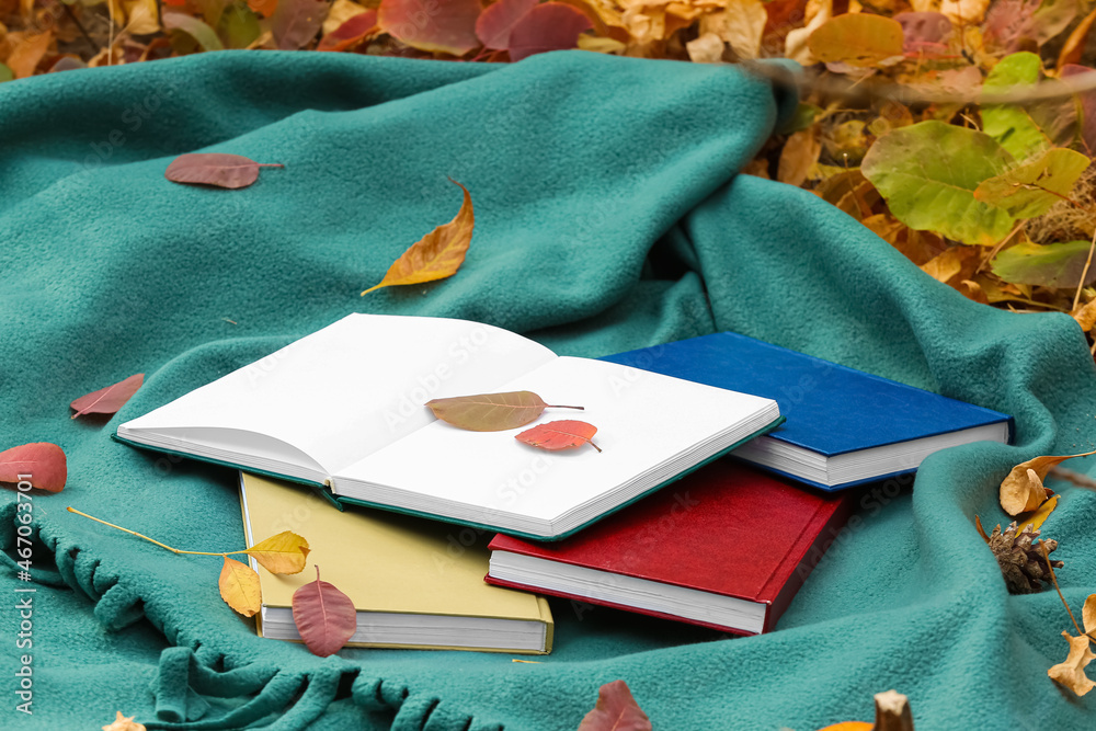 秋季公园里关于温暖格子的书籍
