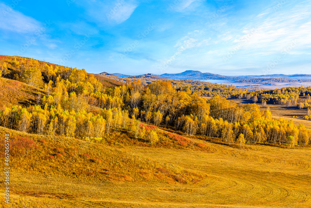 秋天美丽的山林自然景观。乌兰布托美丽的秋色
