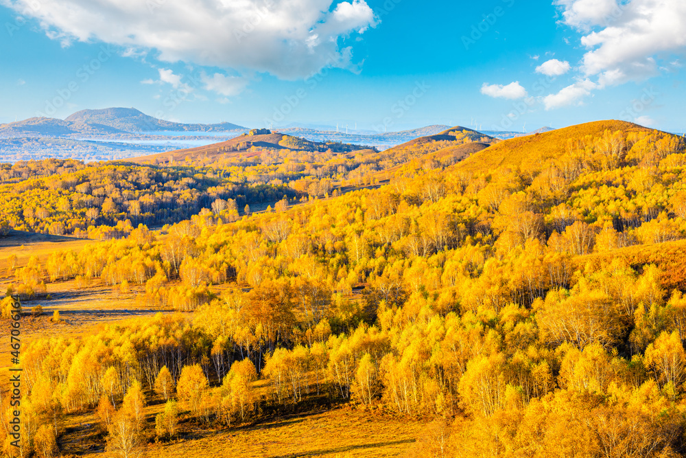 秋天美丽的山林自然景观。乌兰布托美丽的秋色